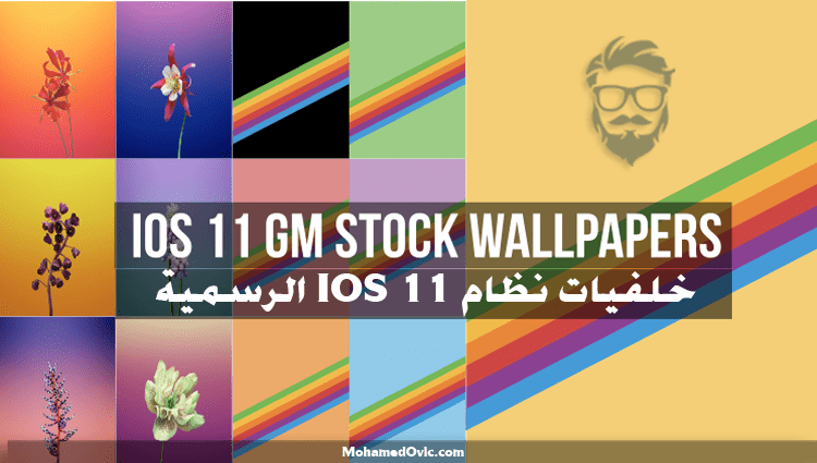 Download IOS 11 Quad HD Stock Wallpapers Mohamedovic