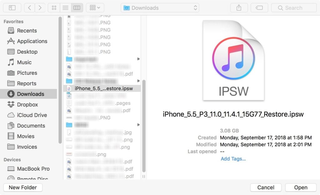 Choose iOS IPSW File
