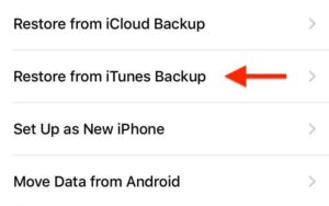 Restore an iPhone Backup