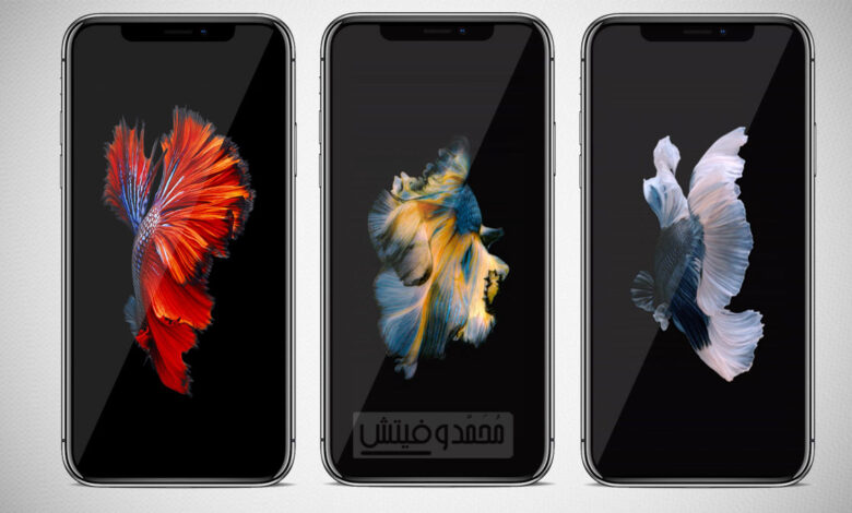 شرح كيفية تحويل الفيديو إلى خلفيات ايفون متحركة واستخدامها على الايفون 1 Turn Videos into Live Wallpapers on iPhone