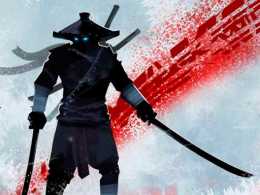 Ninja Arashi من أفضل ألعاب القتال