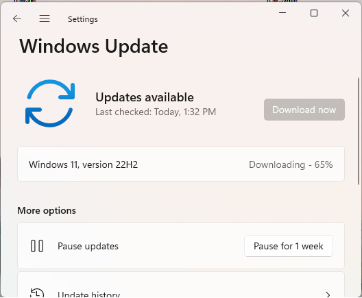 Windows 11 22H2 ISO