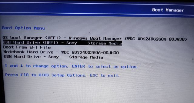 Choose Flash Drive to boot in