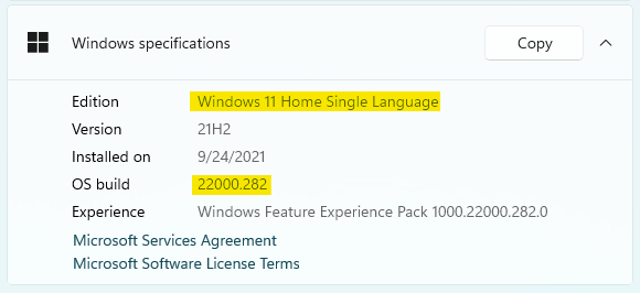 Windows 11 Home 22000.282