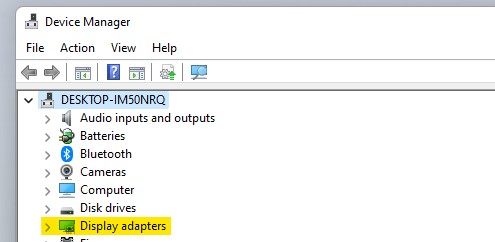 Windows 11 Display Adapters