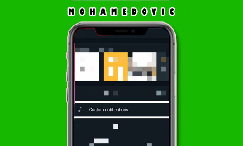 كيفية وضع نغمة رنين مختلفة لكل محادثة على WhatsApp؟ قم بتمييز رسائلك عن بعضها الآن! 1 custom notification whatsapp MOHAMEDOVIC