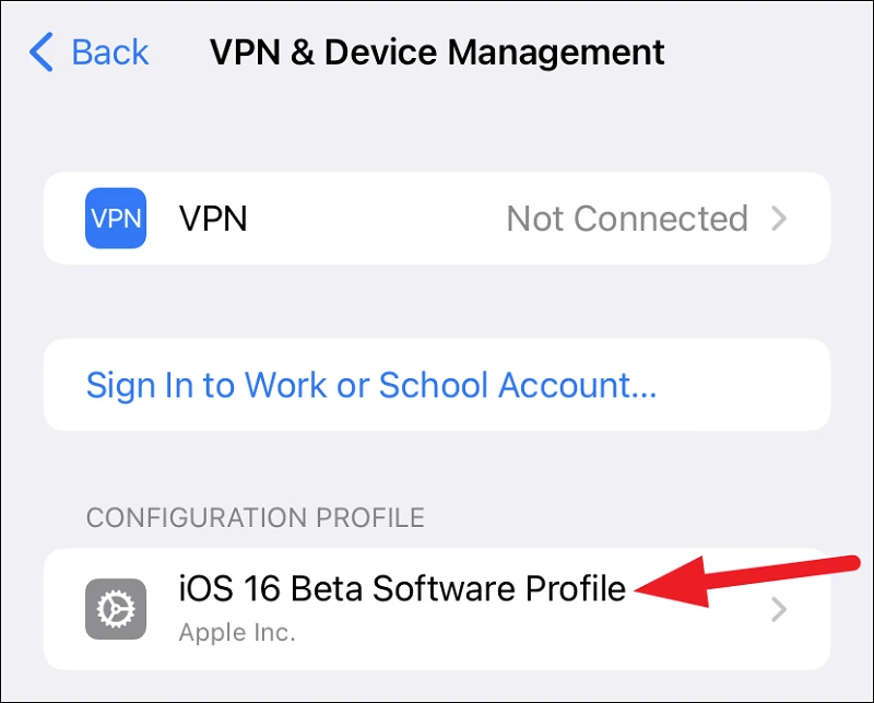 Remove iOS 16 Beta Profile 02