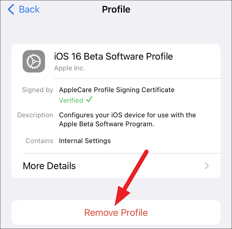 Remove iOS 16 Beta Profile 03