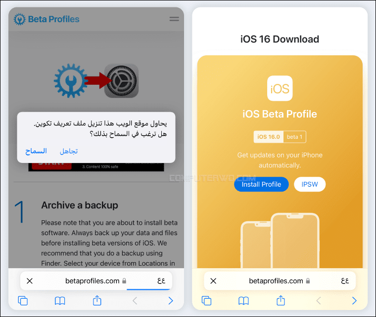 iOS 16 Beta Profile