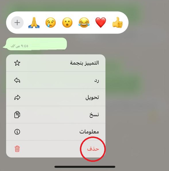 Delete WhatsApp Meesage for every one iPhone 01