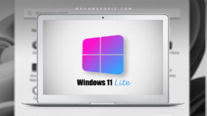 Download Windows 11 Lite ISO