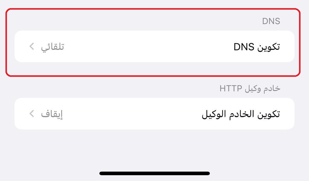 Enable Private DNS on iOS 03