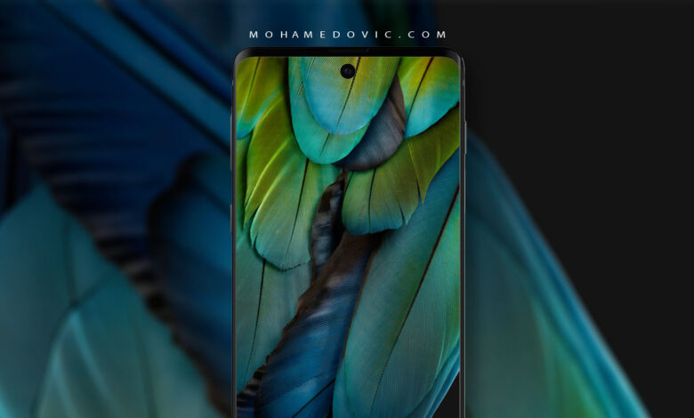 تحميل خلفيات Google Pixel 7A الرسمية "12 خلفية" عالية الجودة بدقة 2K 1 تنزيل خلفيات جوجل بيكسل 7A بالجودة الأصلية
