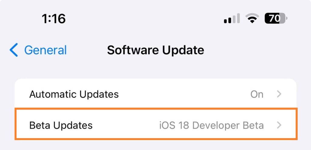 Disable OS Beta Updates on iPhone iPad 04