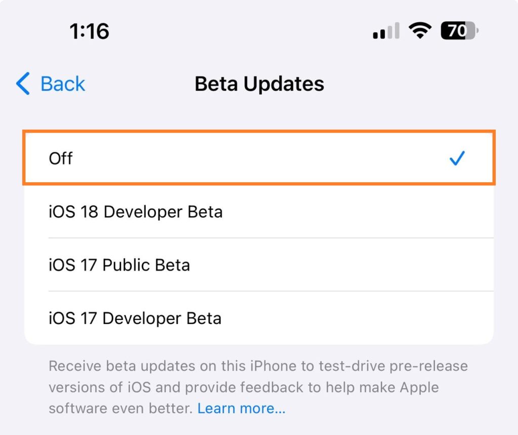 Disable OS Beta Updates on iPhone iPad 05